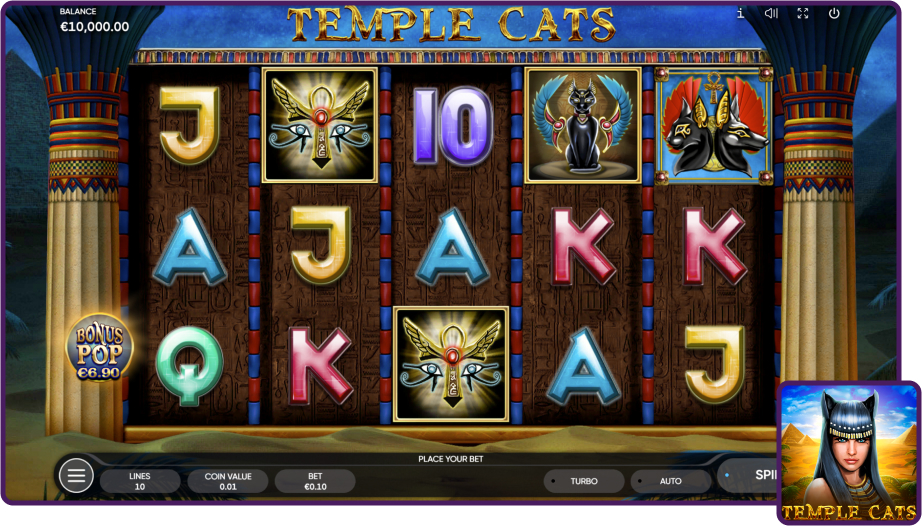 Temple Cats Review
